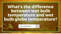 Wet Bulb Temperature vs Wet Bulb Globe Temperature - What's the Difference?